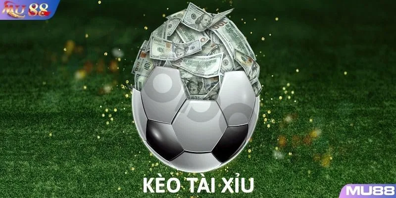 Cách đọc kèo tài xỉu chuẩn xác nhất
